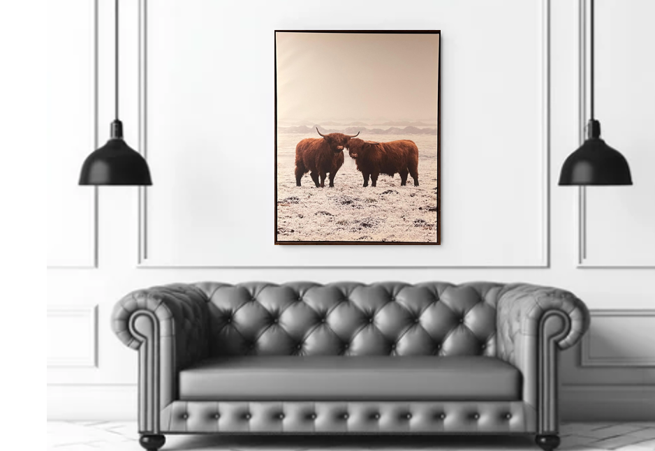 Frame Wall Art - Wild Buffalo ( 90 cm X 70 cm )