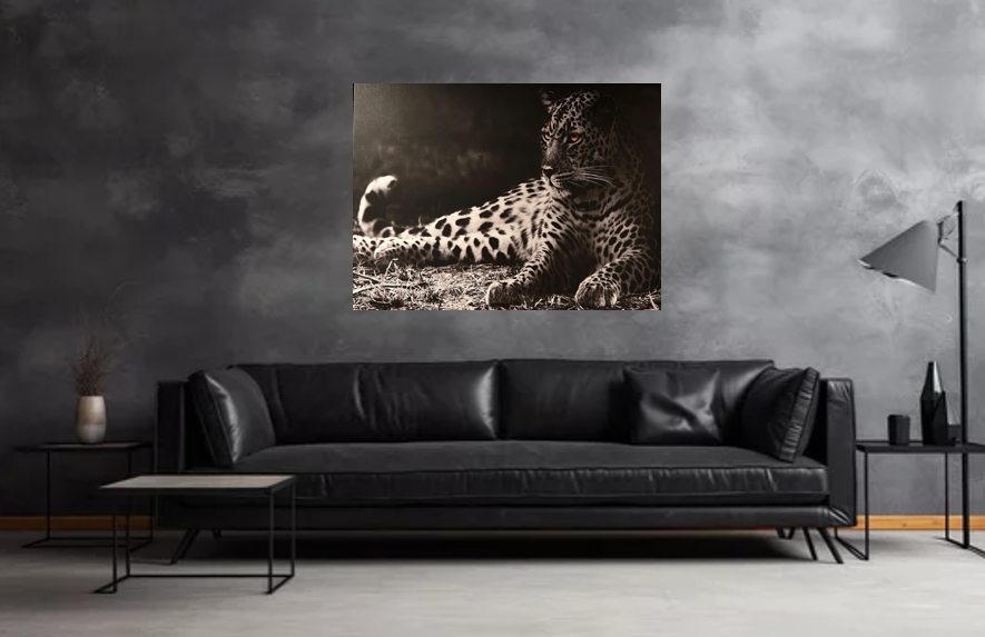 Frame Wall Art - Cheeta ( 80 cm X 100 cm )