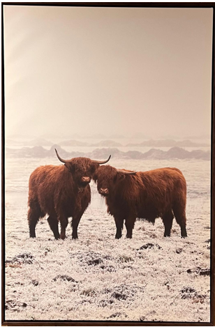 Frame Wall Art - Wild Buffalo ( 90 cm X 70 cm )