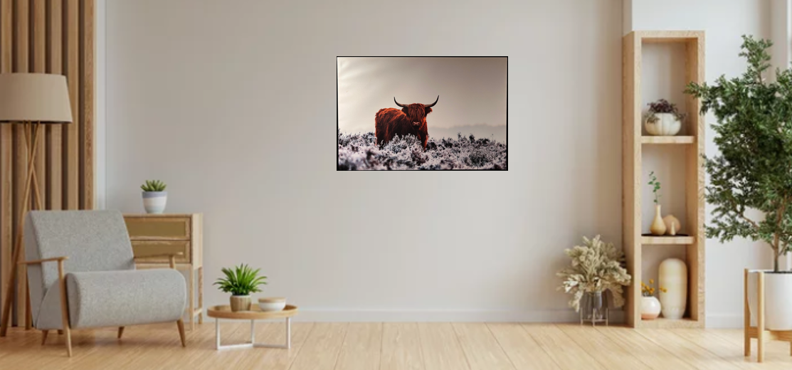 Frame Wall Art - Wild Buffalo ( 70 cm X 90 cm )