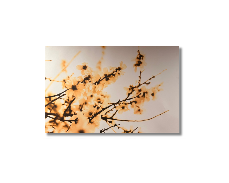 Wall Art - Nature (120 cm X 60 cm )