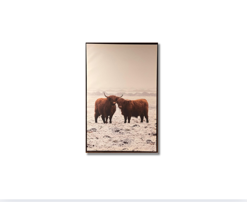 Frame Wall Art - Wild Buffalo ( 90 cm X 70 cm )