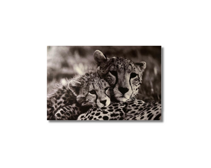Frame Wall Art - Cheeta Family ( 80 cm X 100 cm )