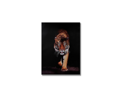Frame Wall Art - Tiger walk ( 100 cm X 80 cm )