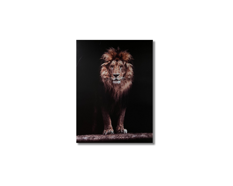 Frame Wall Art - Lion ( 100 cm X 80 cm )