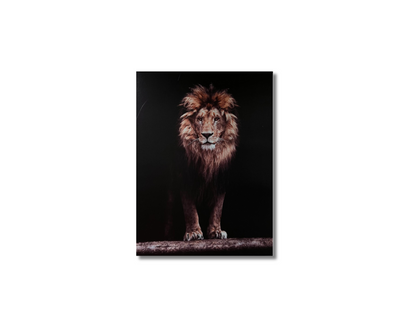 Frame Wall Art - Lion ( 100 cm X 80 cm )
