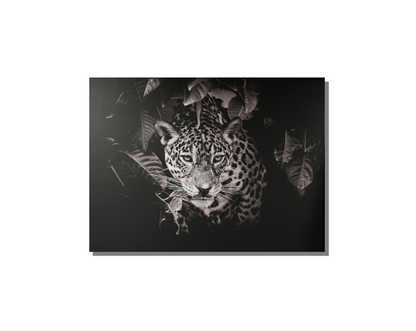 Frame Wall Art - Cheeta size (80 cm X 100 cm)