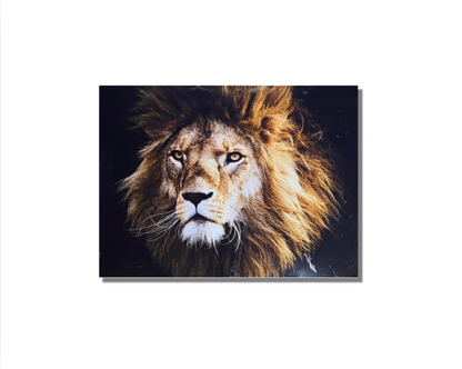 Frame Wall Art – lion  (100 cm x 80 cm)