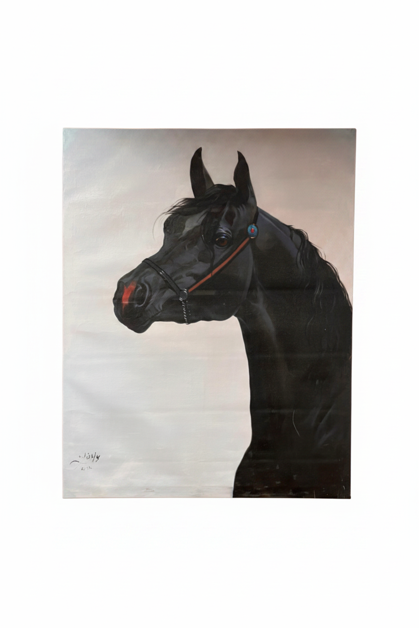 Majestic black Arabian horse portrait fine art canvas on white background product photo