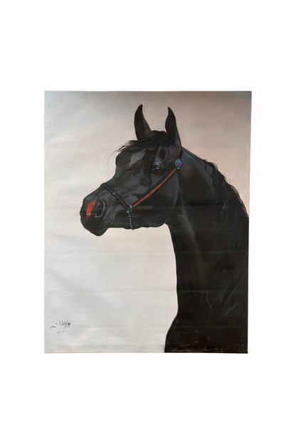 Majestic black Arabian horse portrait fine art canvas on white background product photo