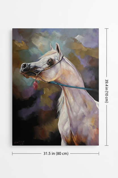 Grey Arabian horse gold halter canvas art with dimensions 31.5 inches wide x 39.4 inches tall 80cm x 100cm