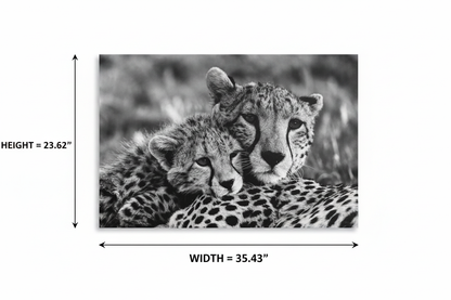 Dimension diagram of cheetah canvas print showing width 35.43 inches and height 23.62 inches on white background