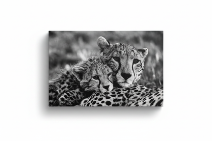 Cheetah mother and cub black and white canvas print isolated on white background with drop shadow, unframed 35.43 by 23.62 inches