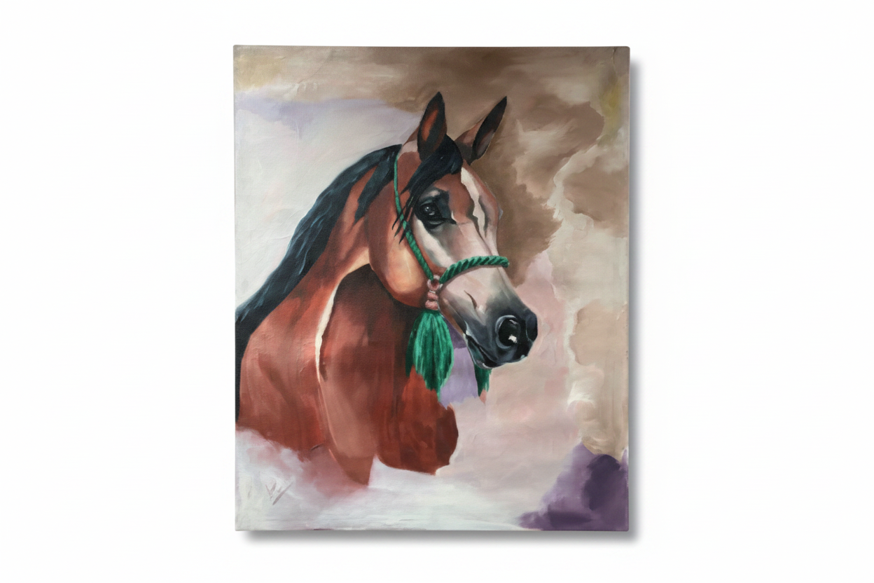 Regal chestnut Arabian horse portrait large fine art canvas on white background product photo